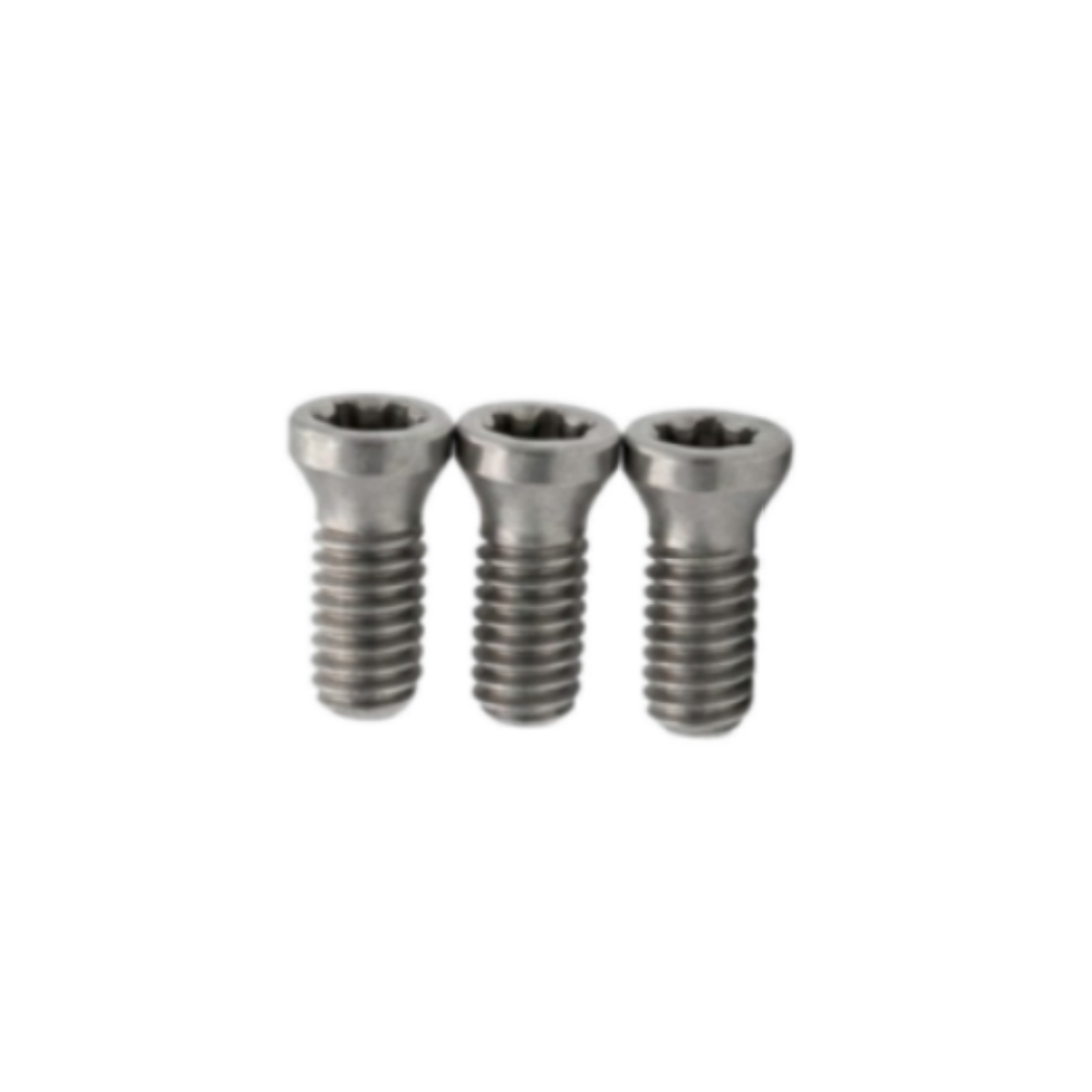 TORX® T25 刀具螺丝 | M6×20（牙距 1.0）12.9 级